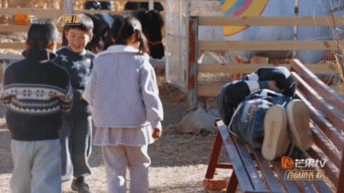 陈楚生介里不许猫睡觉厚米之家的日常也太好笑了！陈楚生领着孩子查房苏醒，主打一个不