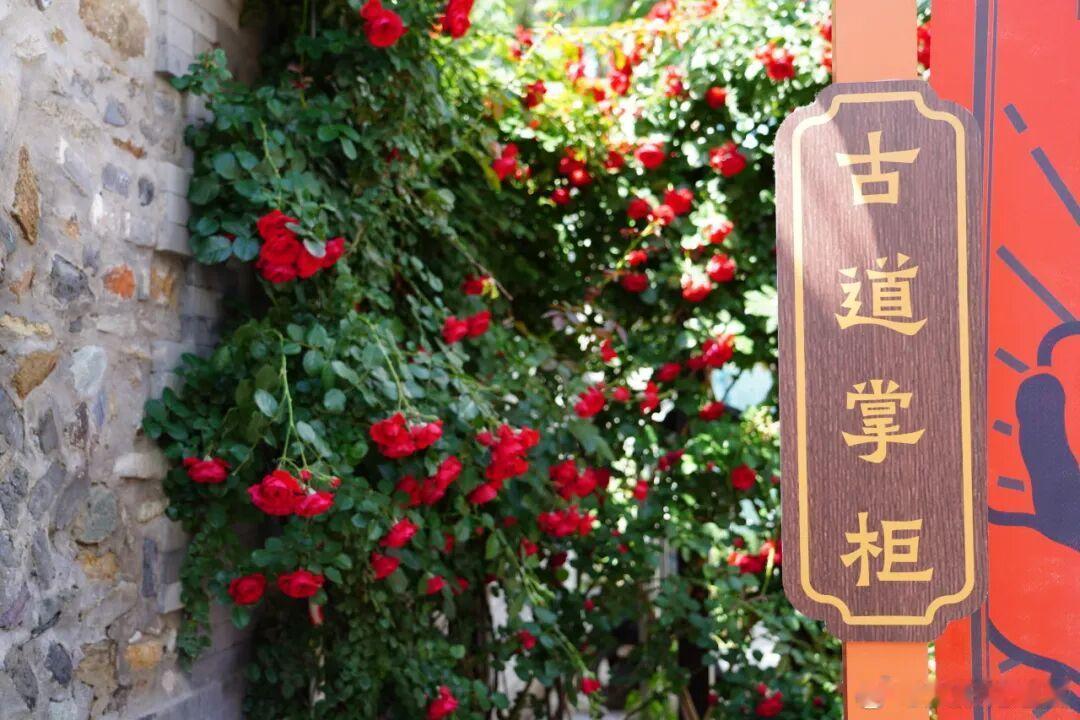 赴一场夏花的约，和温柔撞个满怀～ 