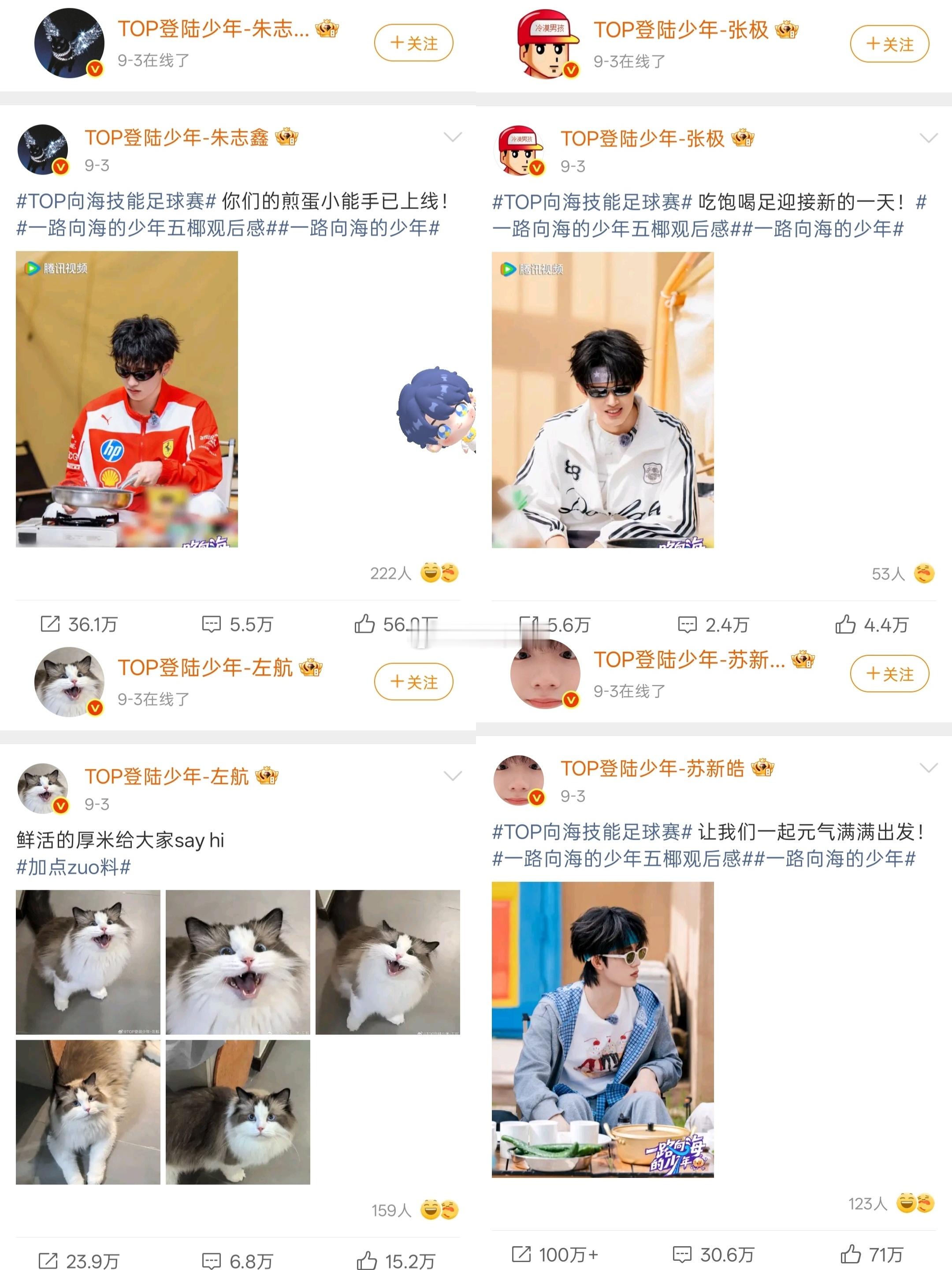 什么是幸福 拥有一只黏人狗是什么感觉 我现在都知道了 ​​​