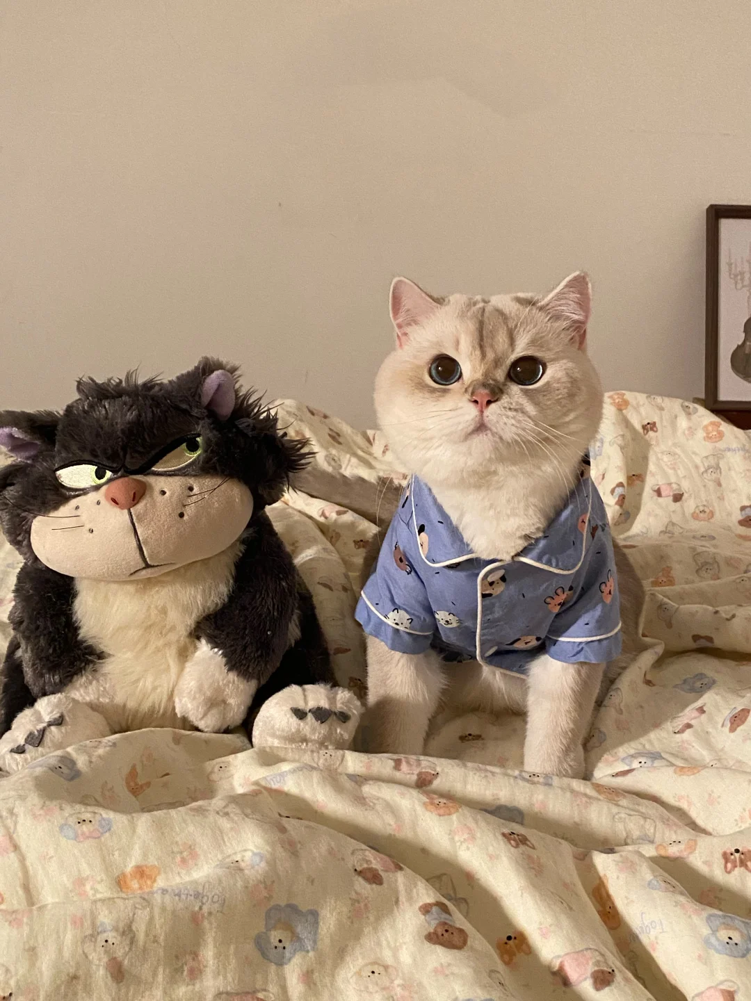 壁纸｜kiki和他的好朋猫