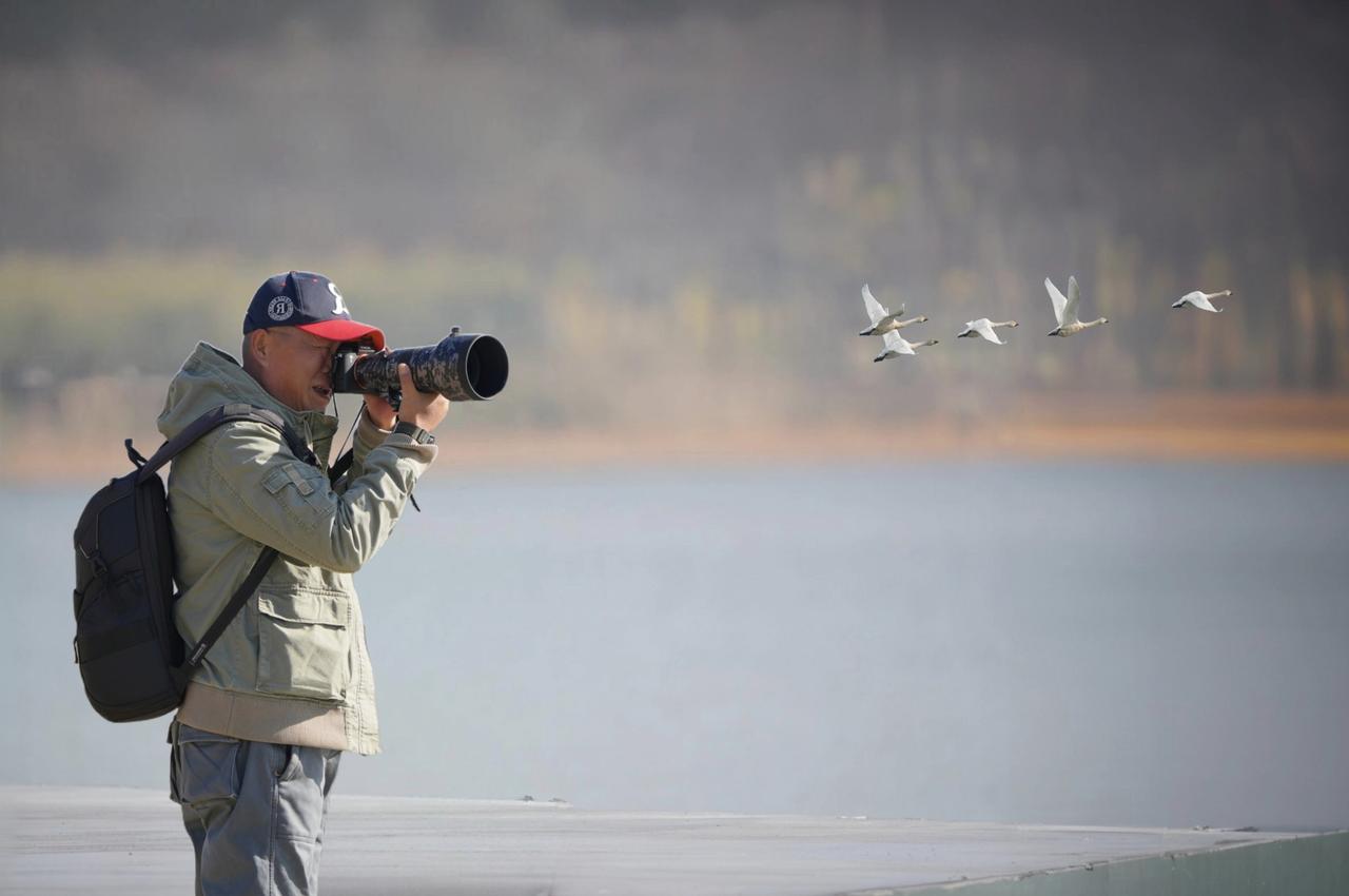 《我要飞的更高》
       这个标题跳出了单纯描述飞鸟或拍摄场景的局限，以双