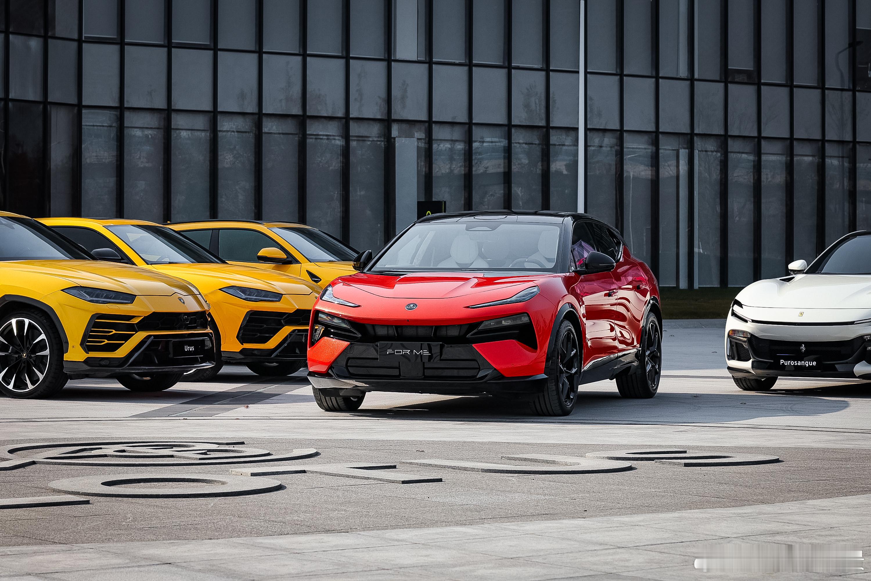 这次LOTUS For Me 的情绪很高涨啊，私享会收获还挺多，满身技术的的FO