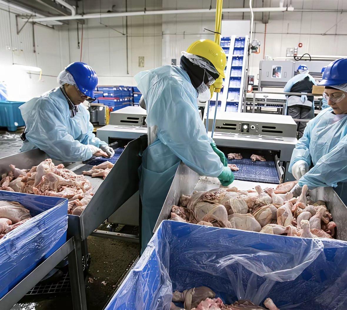 最近看到一些网友在讨论“牢A”爆料的美国底层生活真相，确实挺震撼的，把之前“西方