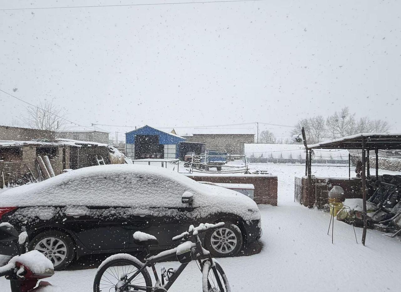 春雪解人意下雪啦 开春失败 @抖音小助手 @DOU+小助手