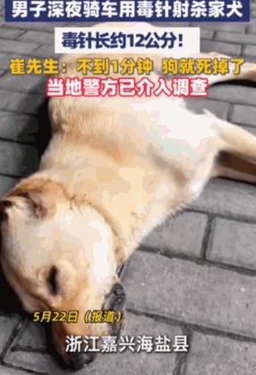 5月22日报道，浙江嘉兴海盐县，一幕令人发指的场景真实上演，崔先生家养了两年多的