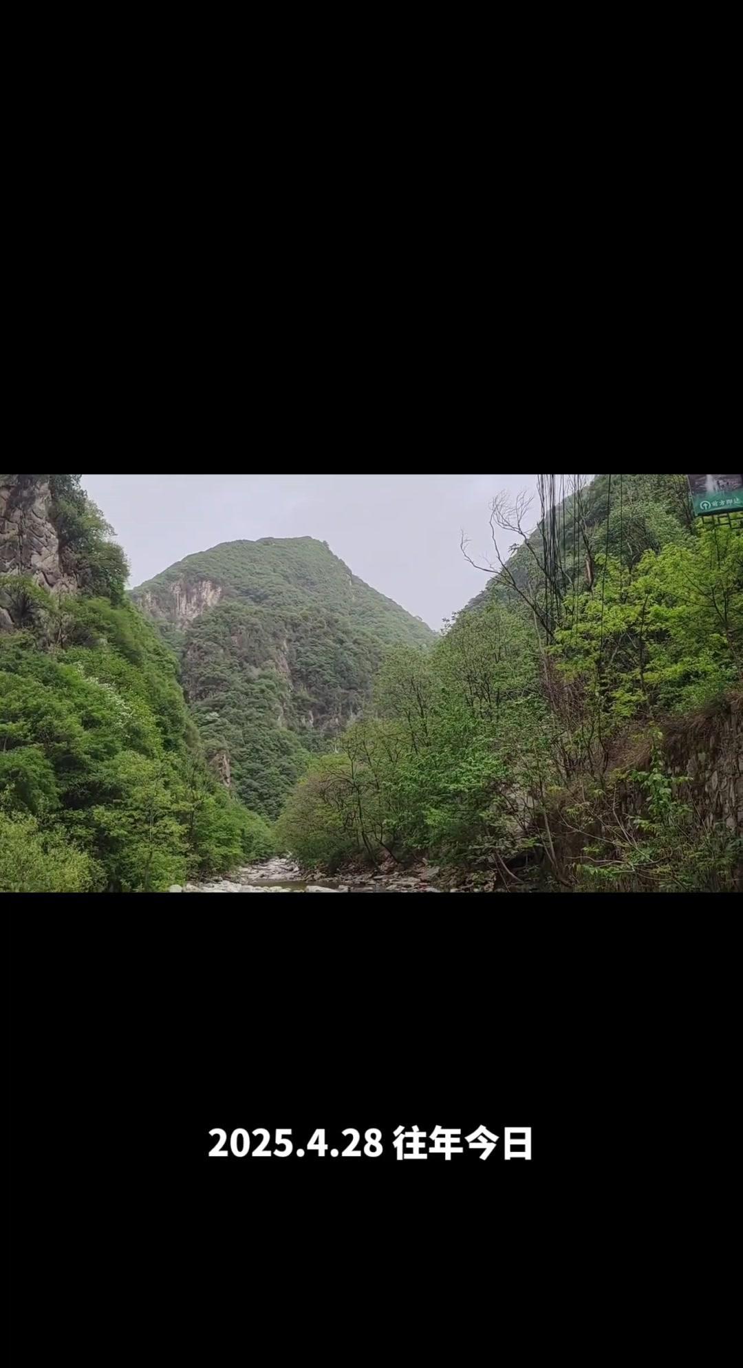 🌊秦岭太平峪的山泉溪水有多绝？太平峪森林公园里，浩浩荡荡的山泉溪水顺着山间流淌