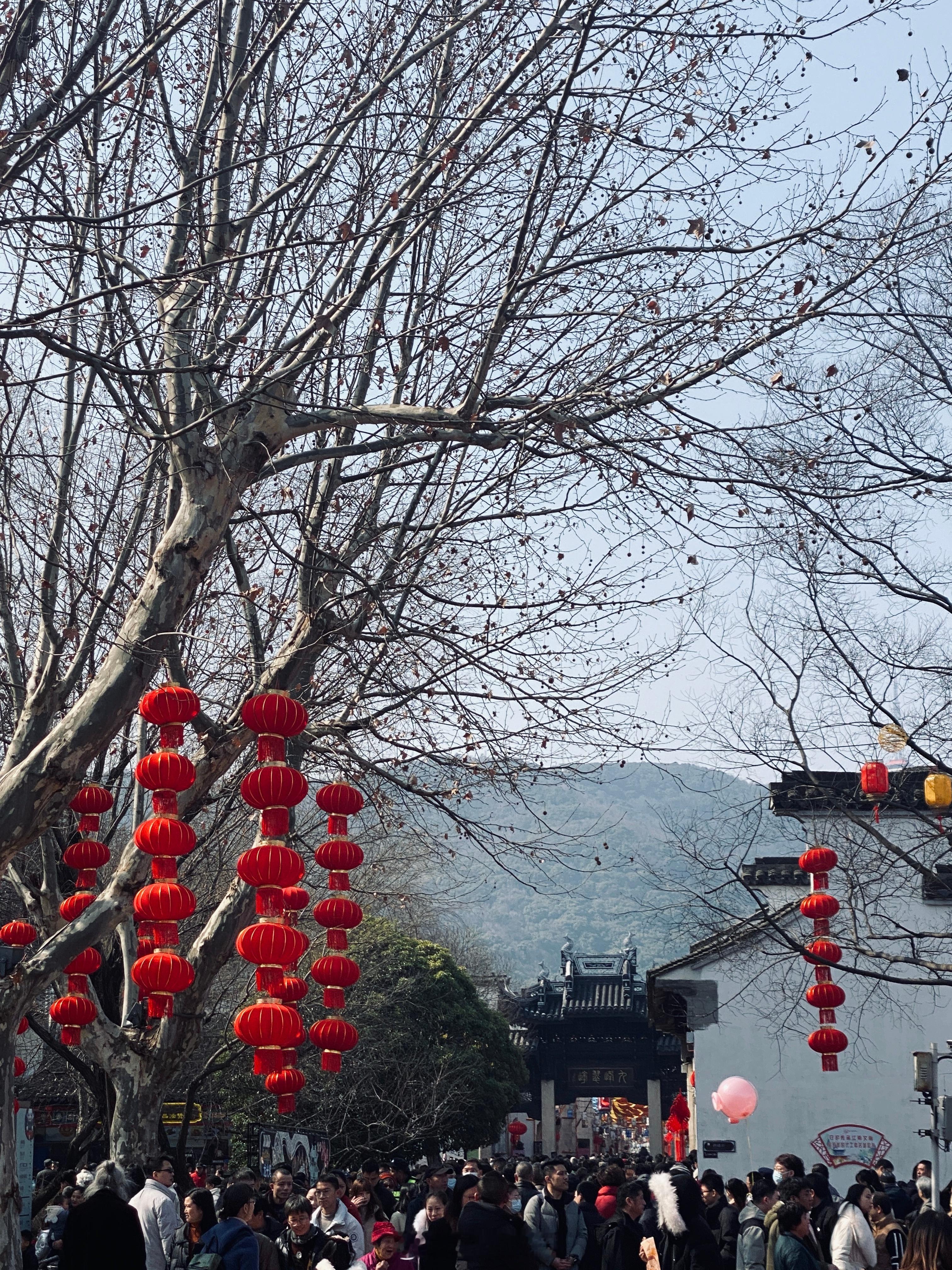 #日常# 人山人海的惠山古镇，吃碗面逃回家[二哈] ​​​