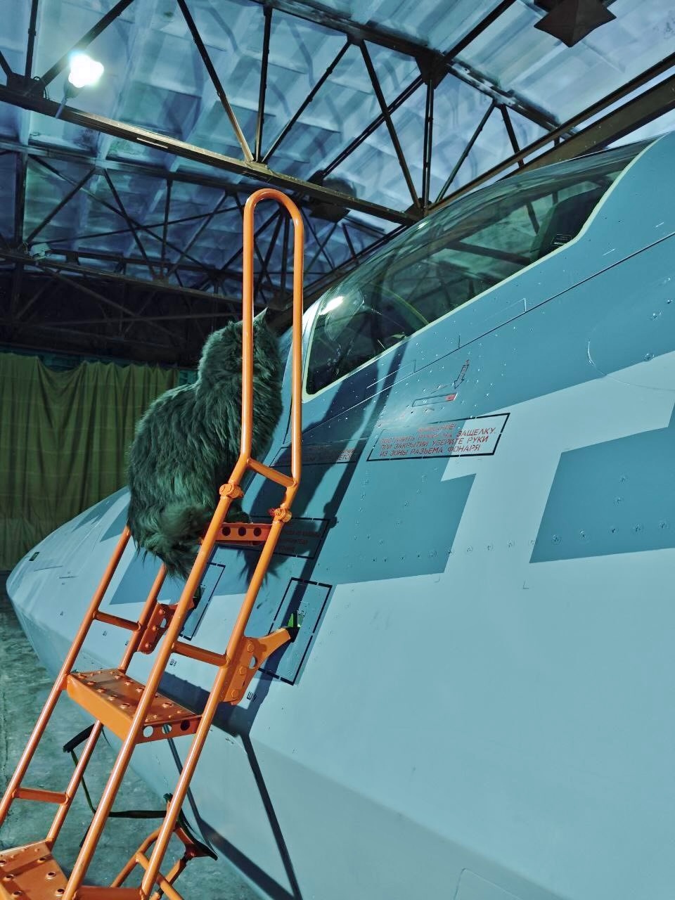 站在登机梯上向座舱里张望的拖把猫Su-57的登机梯还是传统款式，机身上有可以按进