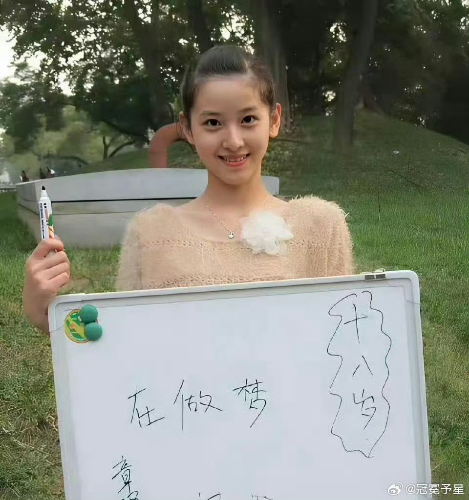 刚恋爱时的章泽天还是清华的学生，刘强东是功成名就的京东大老板。 