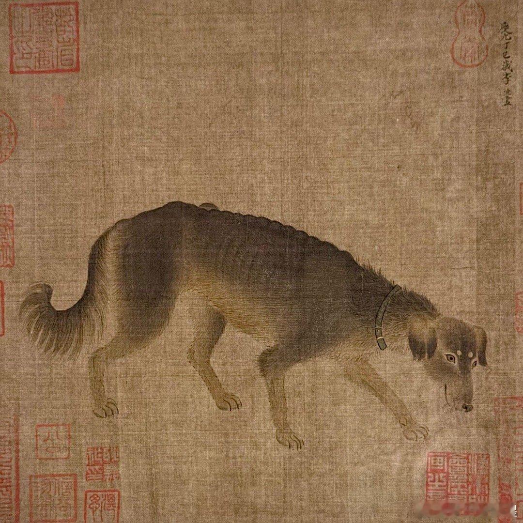 宋人动物小品故宫博物院“万物和生”特展谢田看宝 ​​​