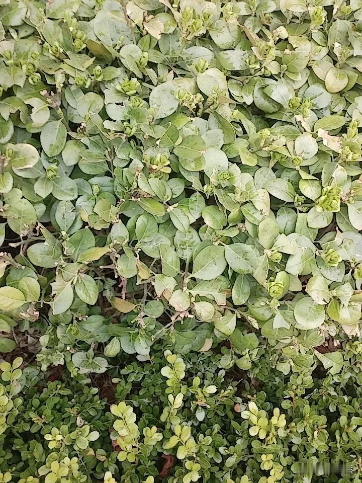 定期做自己喜欢的事情就可以保持心情快乐！
比如女人喜欢购物，喜欢买好看的衣服，家