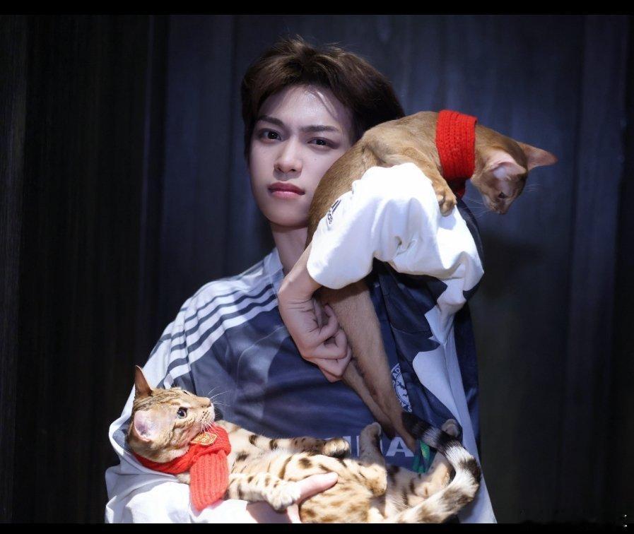 梓渝携小猫拜年梓渝带着一家两小给大家拜年了，新年快乐，不过，这是在衣柜里吗？ 