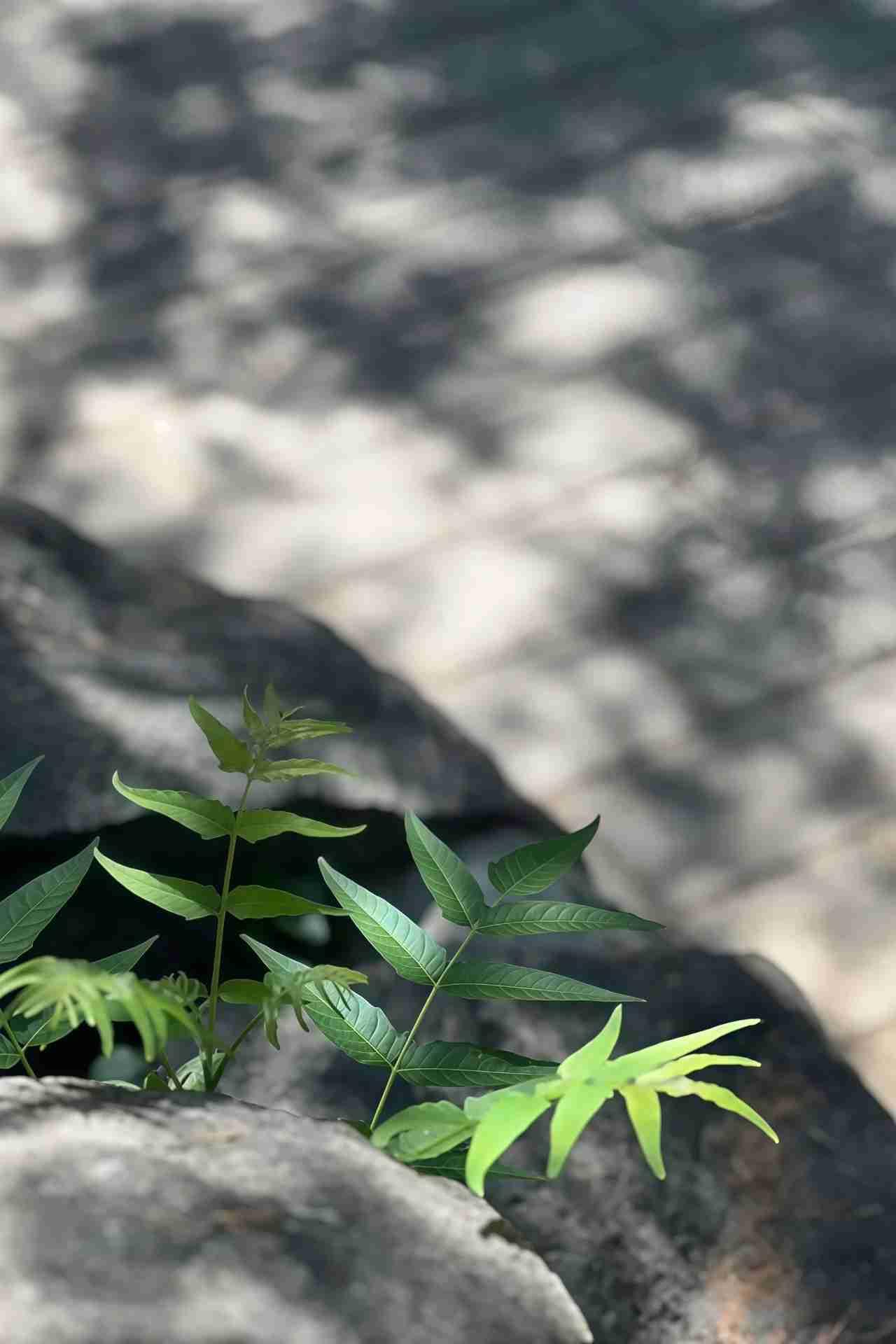 我的今日状态：😁轻松愉快
我这里的天气：☀️晴天