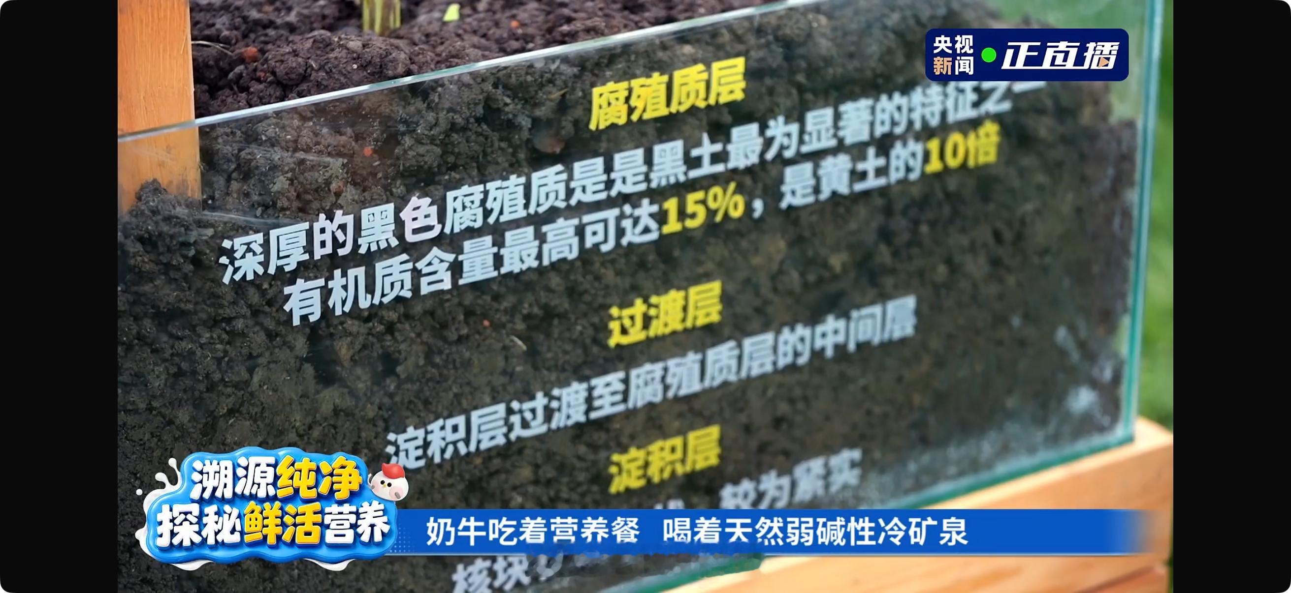 飞鹤直播治好了宝妈的选奶焦虑看完飞鹤直播，被北纬47°这片土地狠狠震撼到。扎龙湿