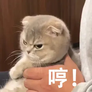 忙忙碌碌到现在，终于结束了，问题真多啊 ​​​