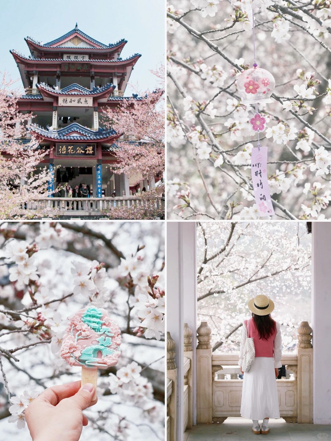 刚从无锡鼋头渚回来‼️附樱花日落攻略🌸