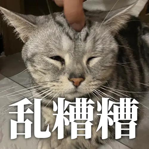 太乱了，