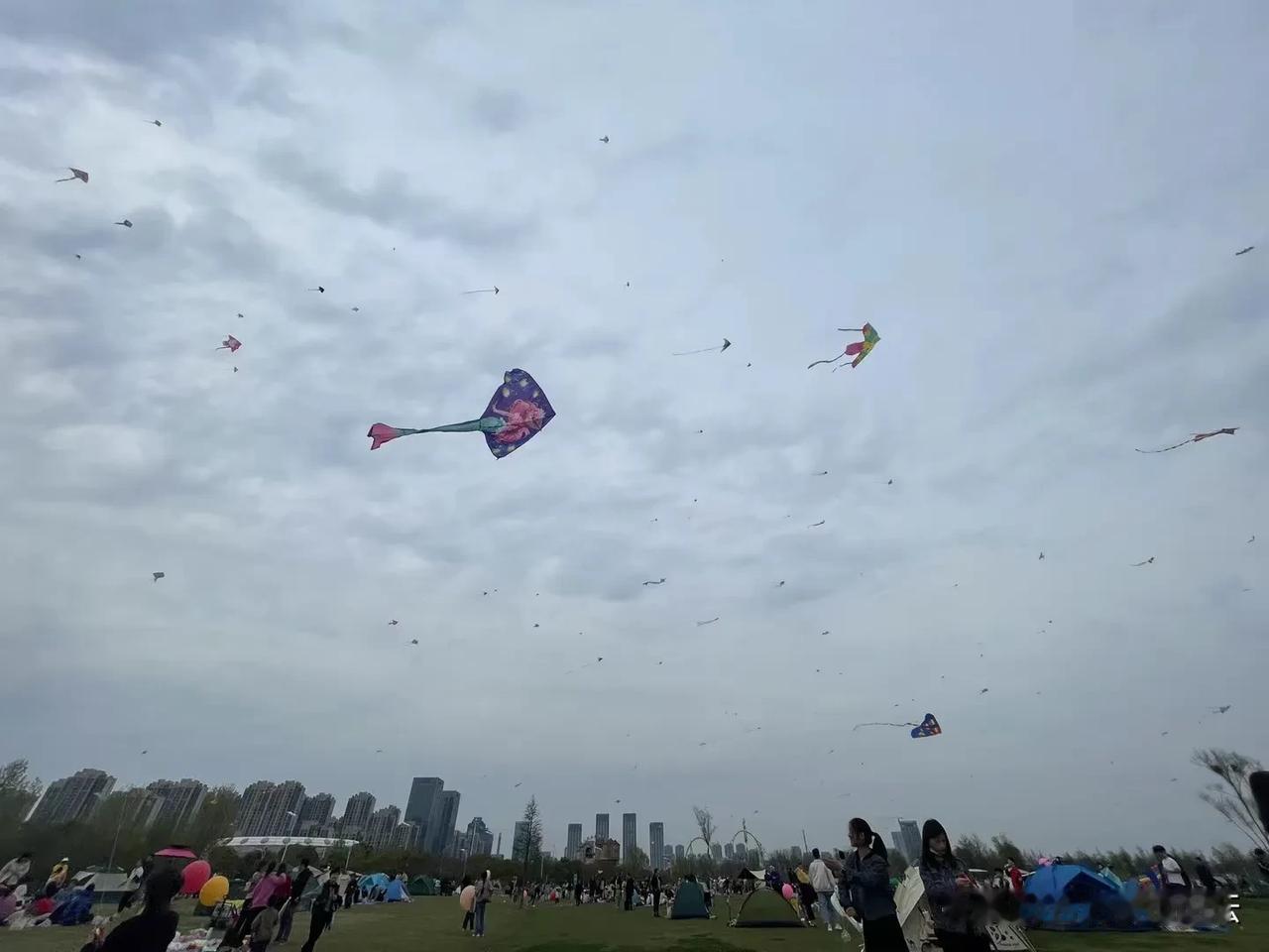合肥岸上草原都是搭帐篷的和放风筝的
合肥人踏青春游之类能去的地方的确不多