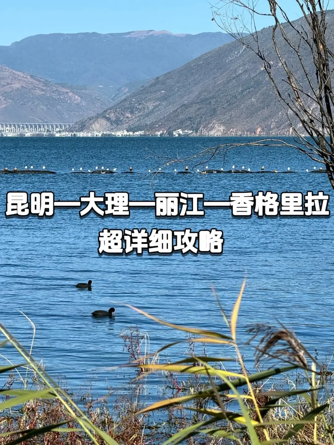 云南6天5夜✔人均1600元+保姆级攻略！