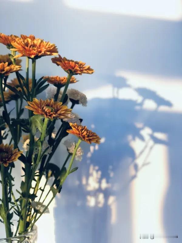 生活细碎万物成诗，今天也要用心装点自己。