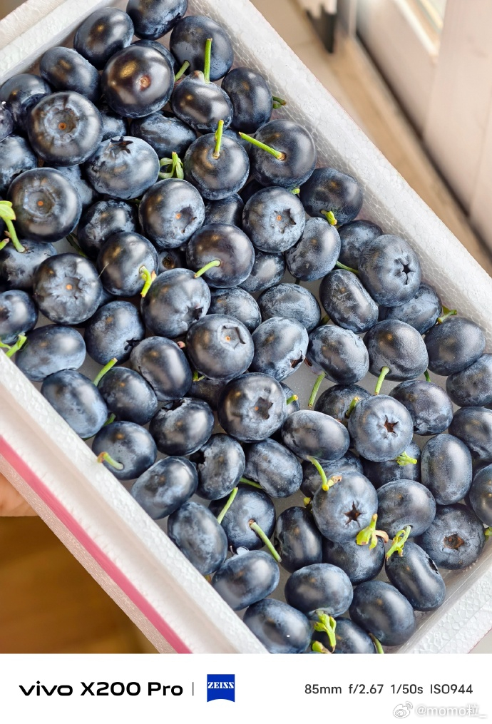 身体有慢性炎症可以多吃这些水果 西医说抗炎，中医说寒性到底听谁的？刚买的这箱蓝莓