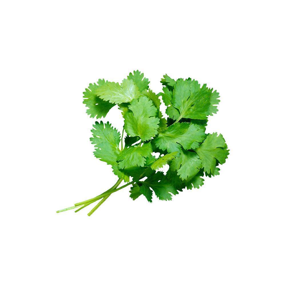 WeChat｜白底蔬菜头像🥬 