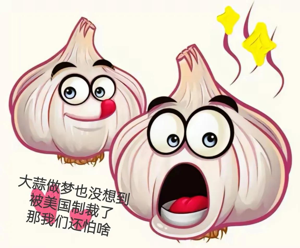 大蒜做梦都被惊醒啦

M国议员斯科特认为，
中国大蒜威胁M国国家安全的四个理由：