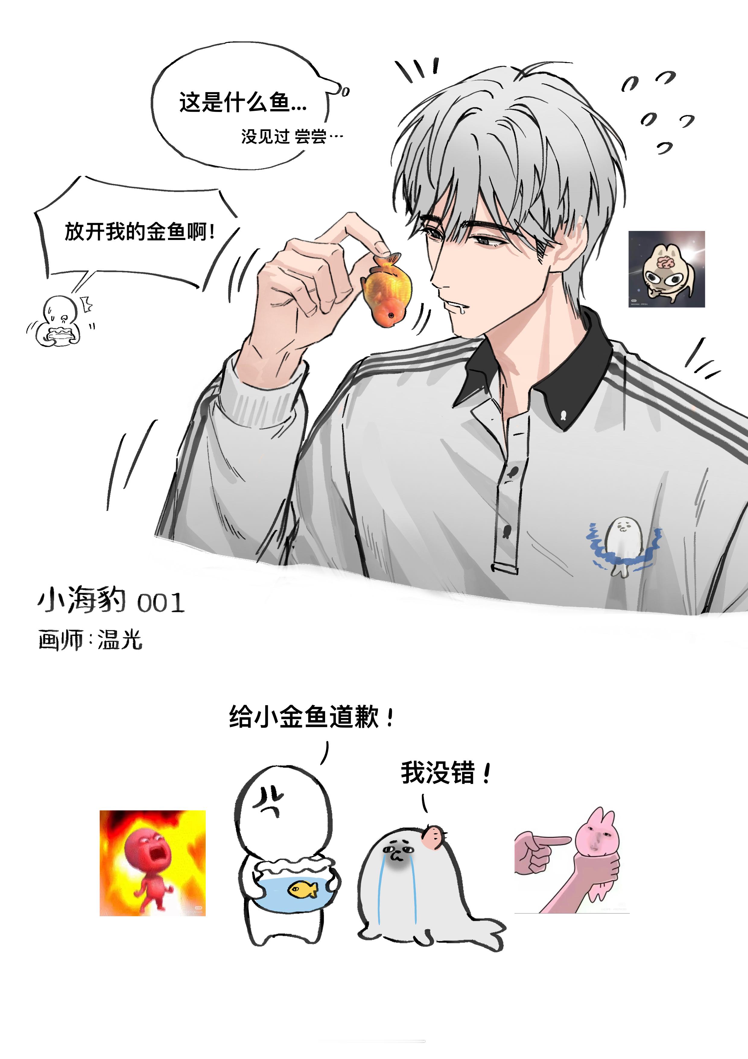 小海豹！第一期！🦭🦭🦭 