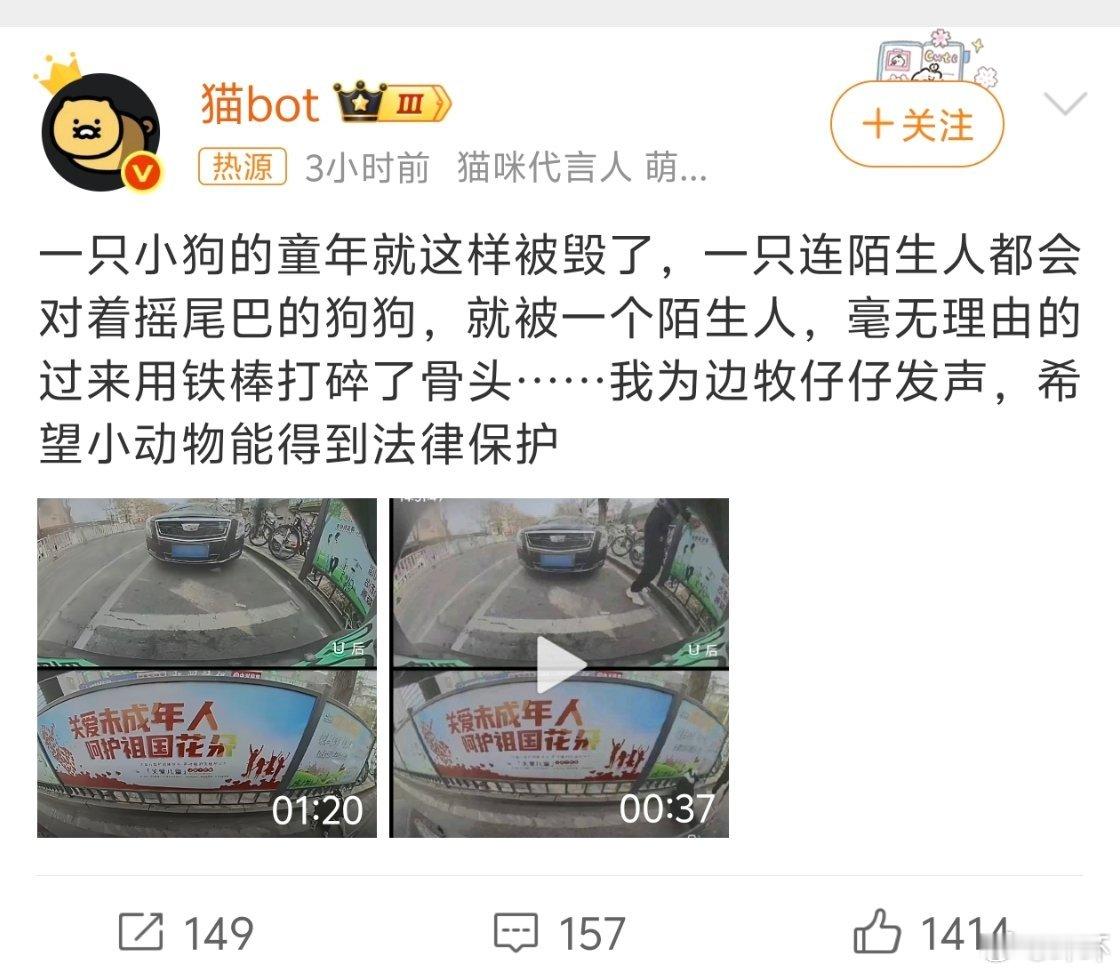 宠物狗被路人无故打碎骨头整天给养宠人各种立法，什么时候能立法保护一下宠物，管管这