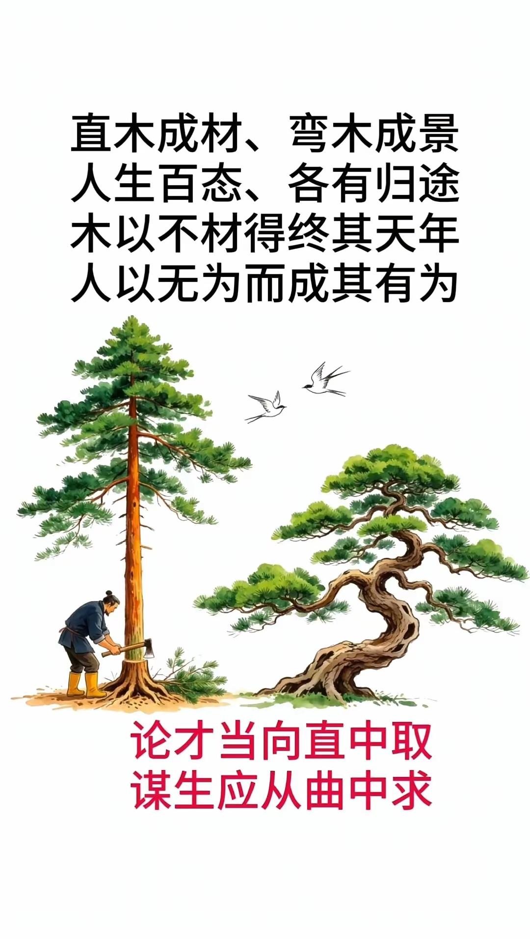 多少及弟郎，
今成阶下囚。