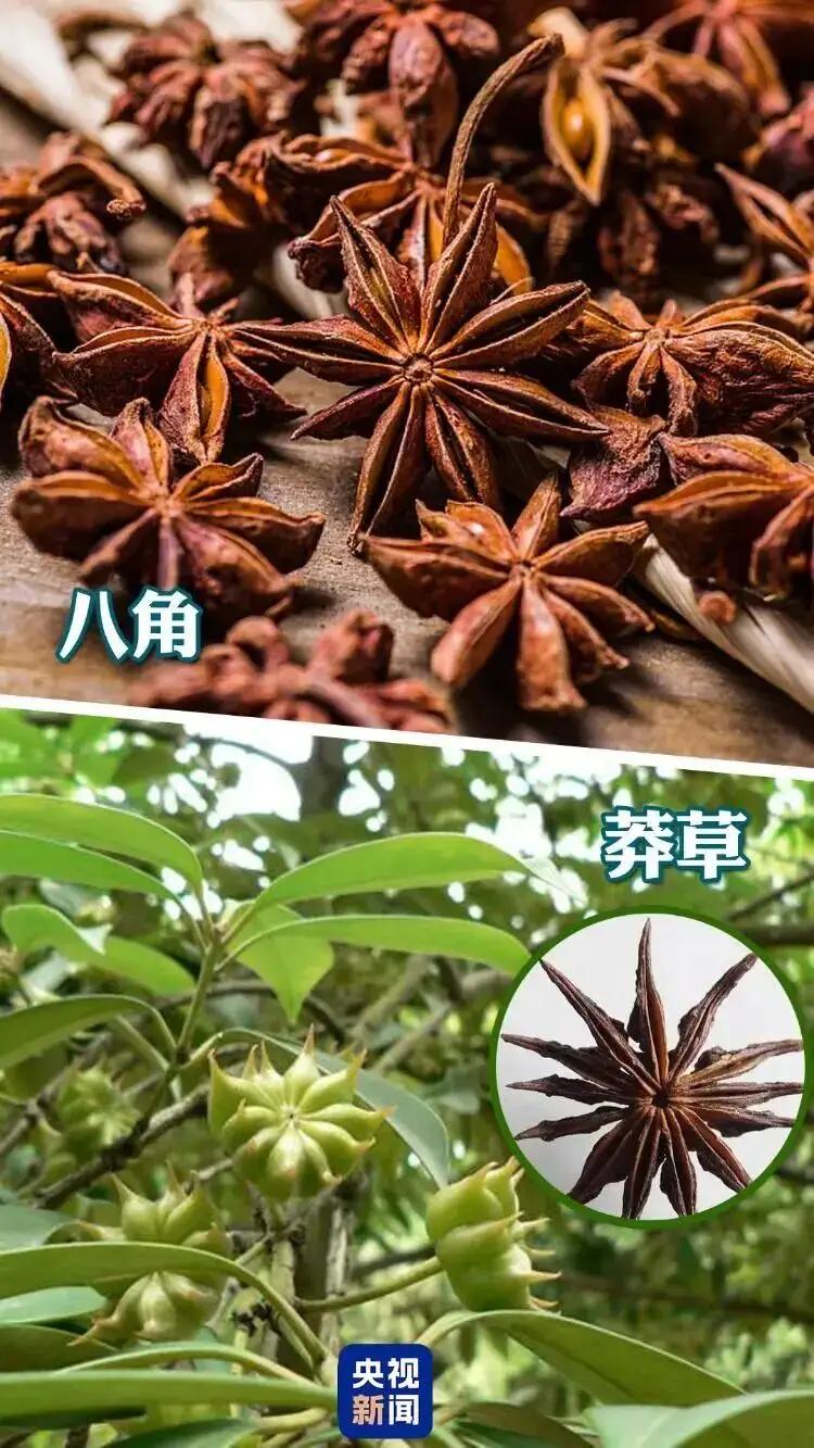 吓出一身冷汗！女子买“八角”炖牛肉，孩子一数竟有13个角，全家后怕：这锅肉白瞎了