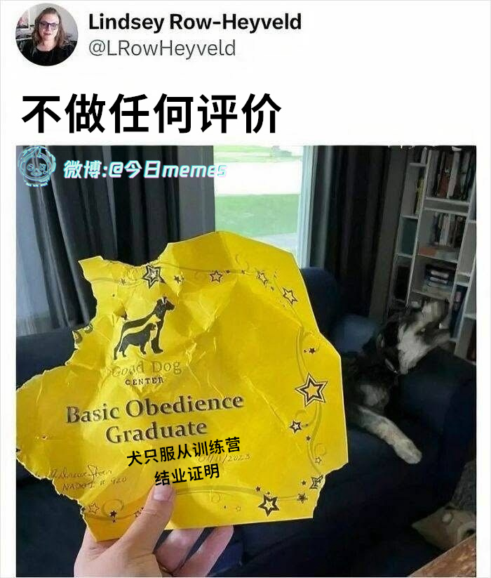 杀手学校（LRowHeyveld）今日meme[超话]今日memes ​​​