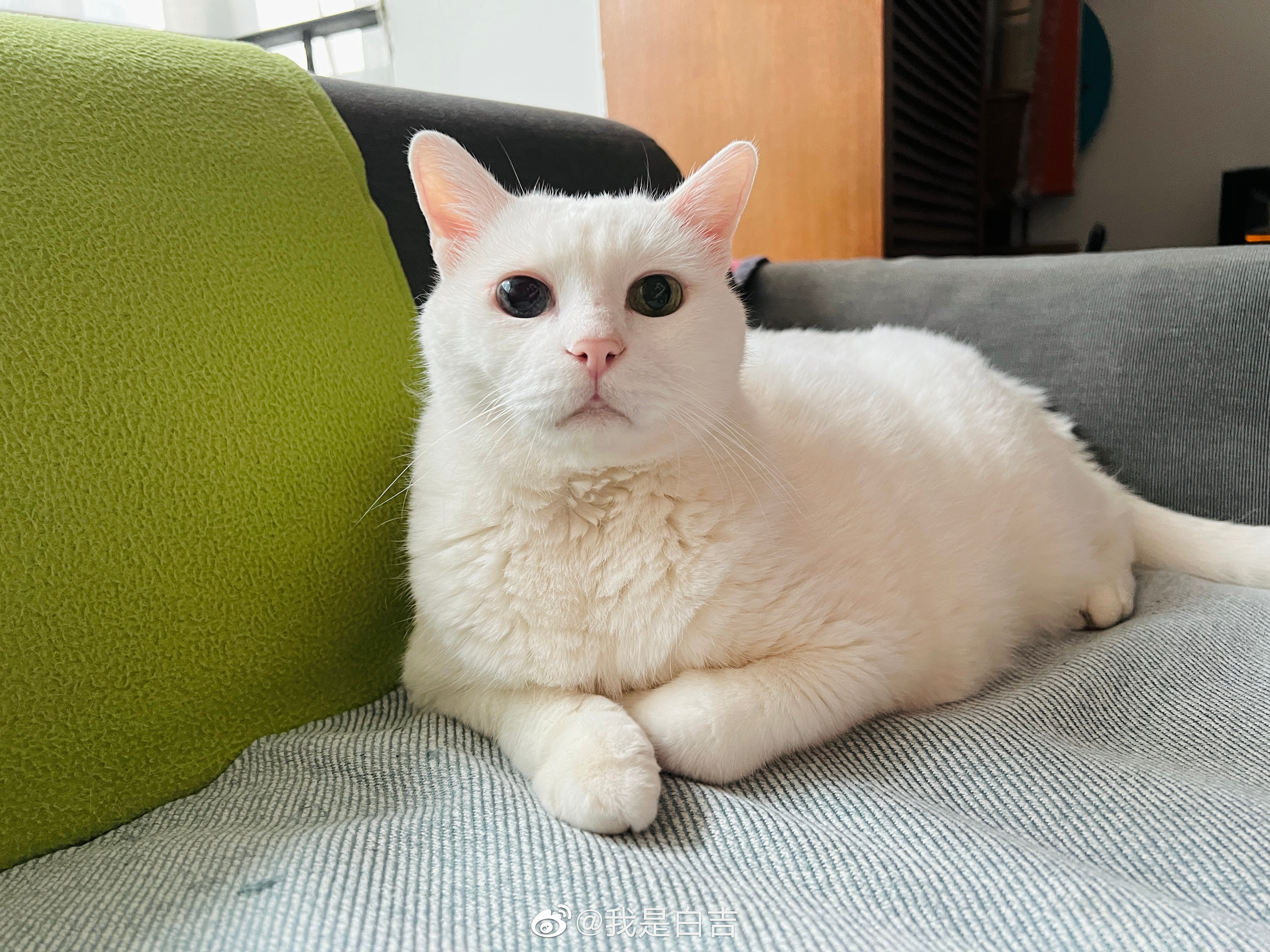 大寶寶香香軟軟。 ​​​