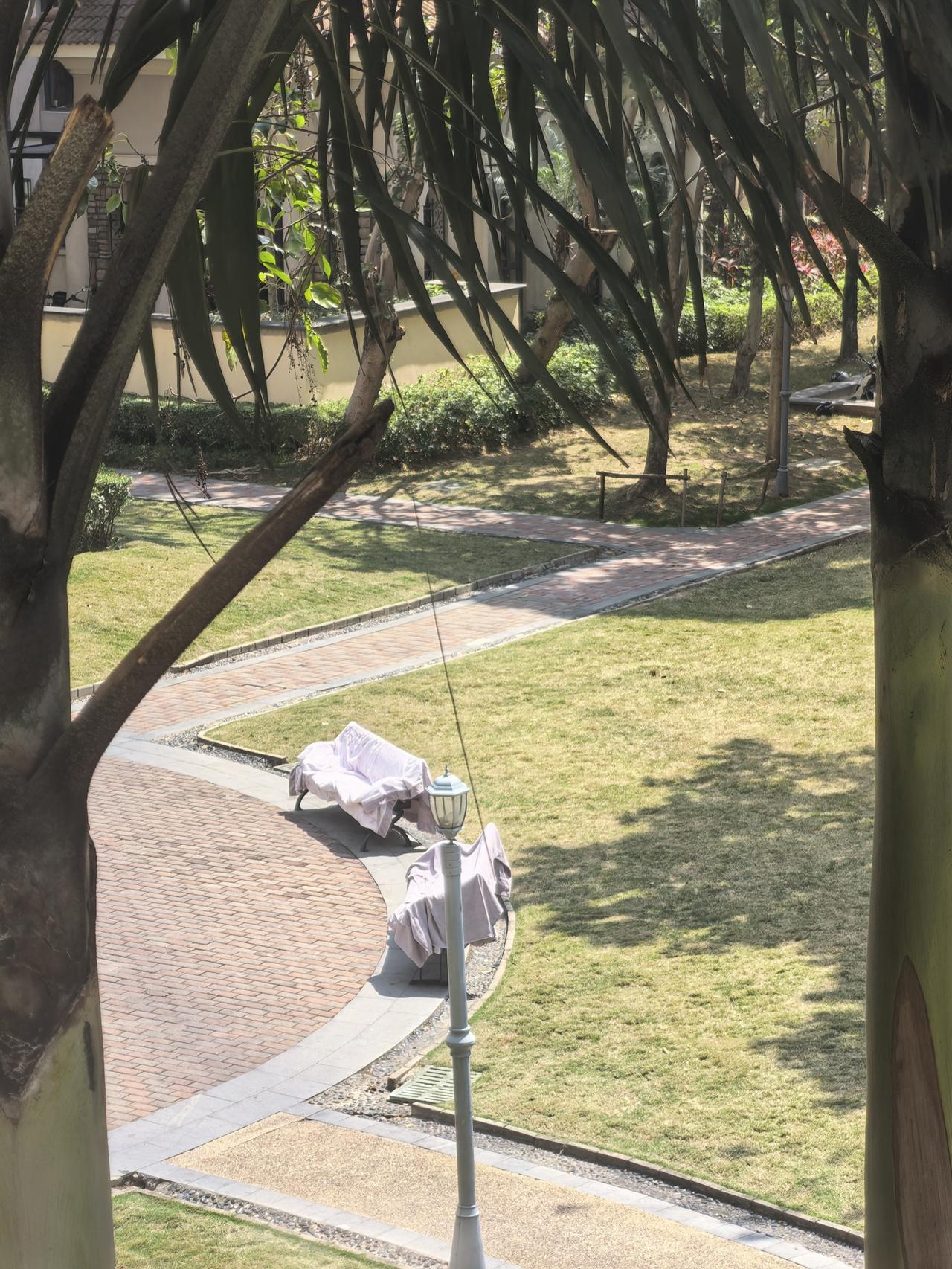 小区新鲜事小区那个地方有几个长条椅，供人们休息用。不知谁在两个椅子上晾晒铺盖，想