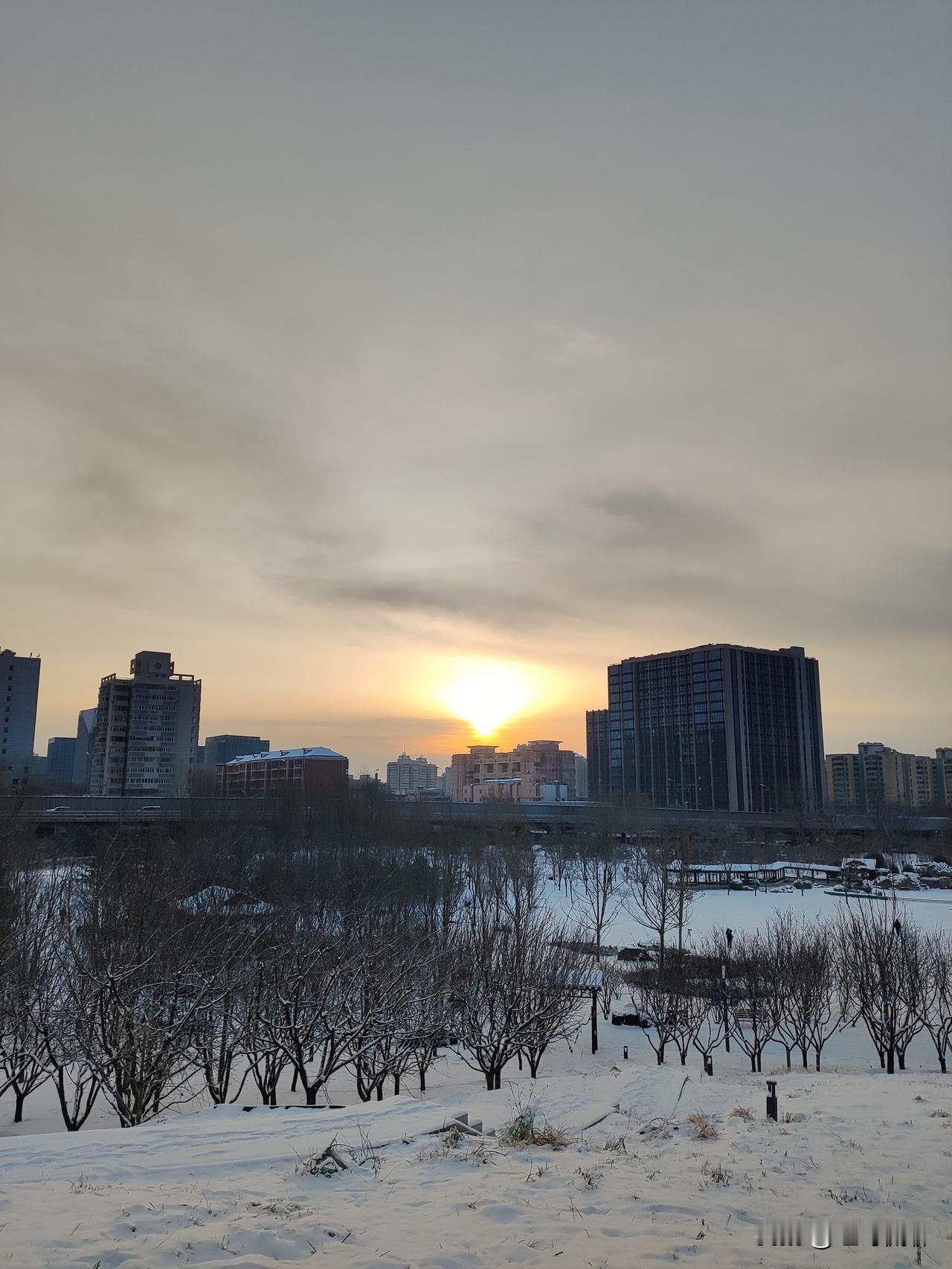 2025第一场雪
中雪如期来，
满目都变白，
足尖沾喜雪，
满园儿童嗨！