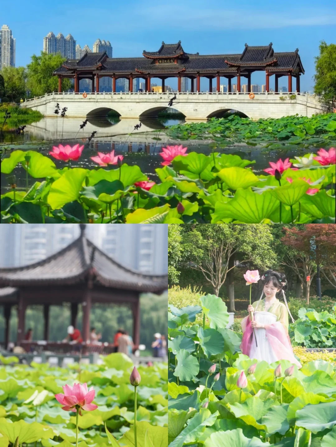 武汉人的盛夏，且逛且看且享受