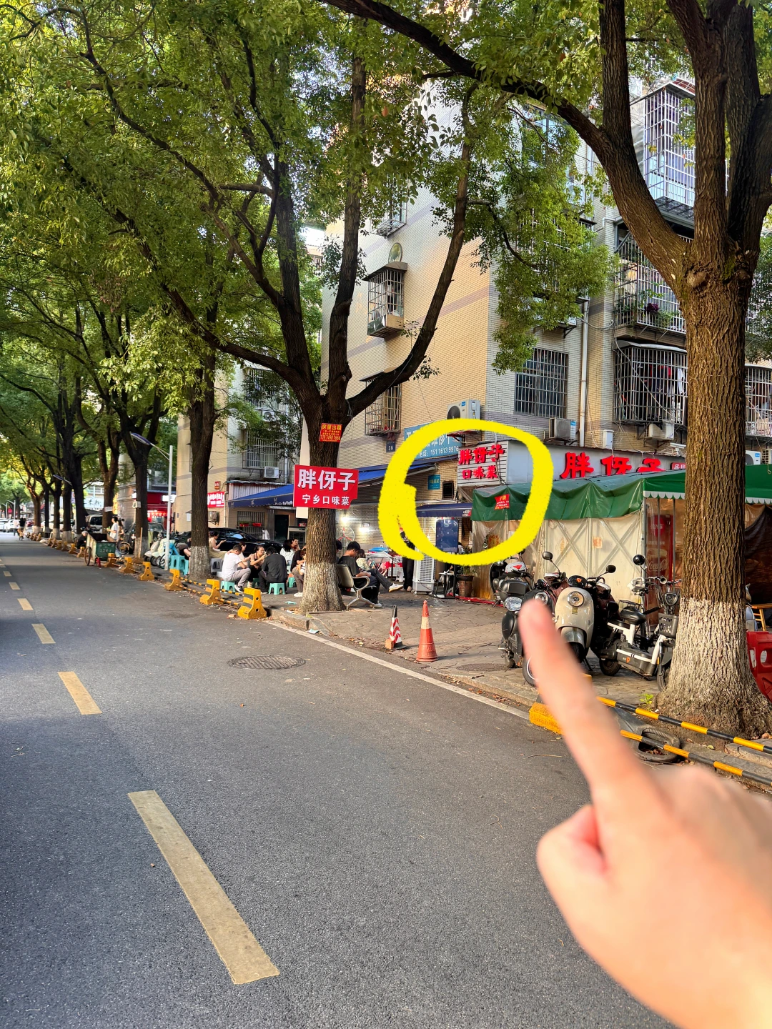 爬完岳麓山直奔的！！真比笨萝卜便宜好吃…