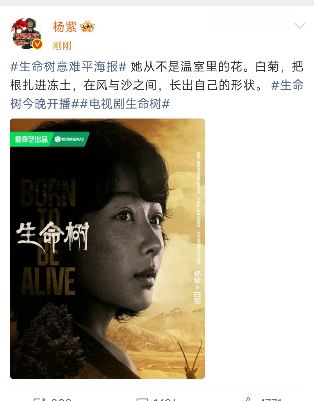 杨紫生命树意难平海报杨紫白菊不是温室里的花 杨紫生命树意难平海报，白菊不是温室里