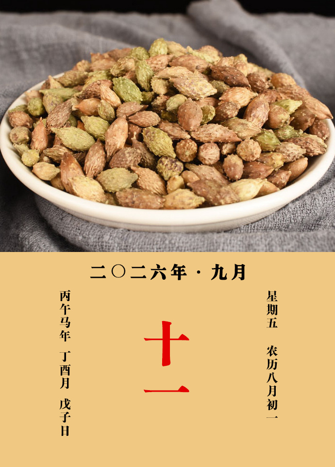 每天一味中草药 甄权说，葈耳实主肝家热毒，明目，治一切风气，填髓，暖腰脚。治瘰疬