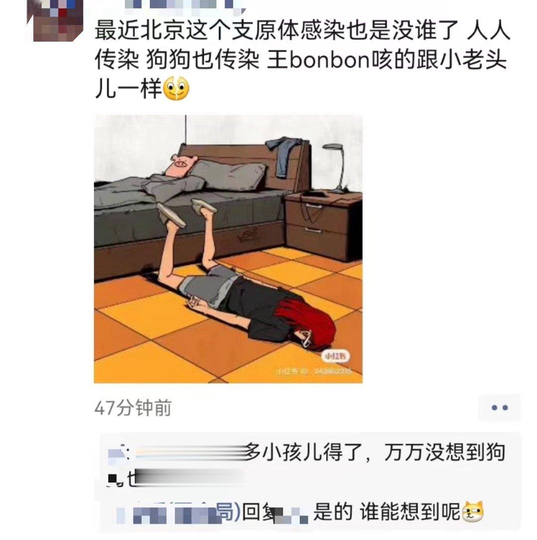 这轮#支原体感染# ，不仅儿童大人没能幸免现在连宠物也[二哈]阿奇霉素这次真是救
