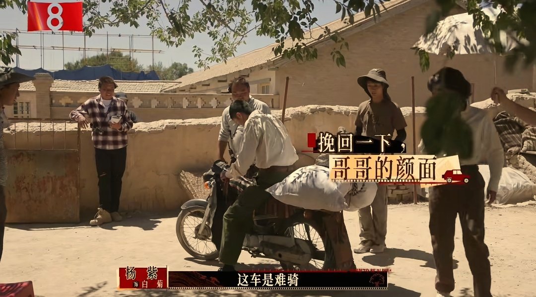 《生命树》花絮，周游骑车，杨紫精准吐槽“我确实感受到你不行，因为你在蹬我的脚”，