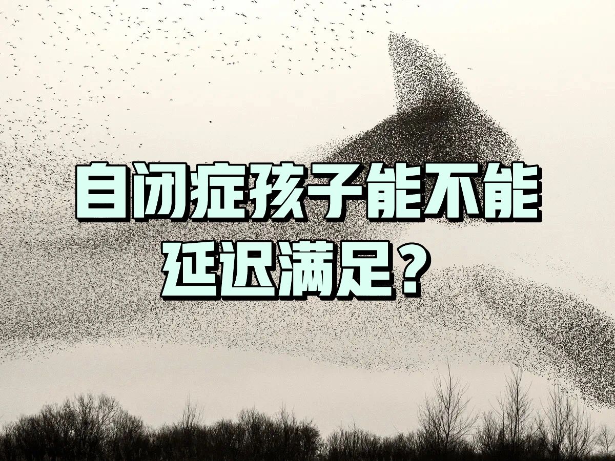 自闭症孩子该不该延迟满足？背后真相在这里