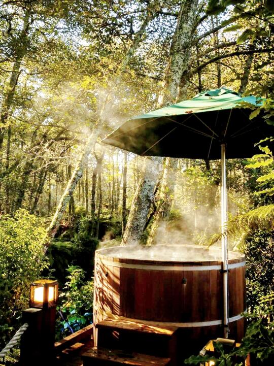 奥克兰周边😌人均100+泡🌿小众森林温泉