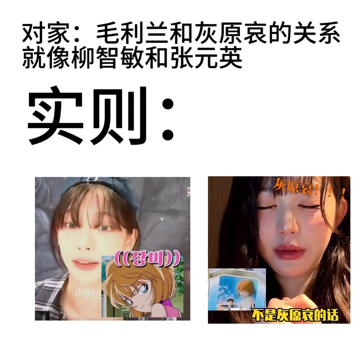 毛利兰和灰原哀的关系就像柳智敏和张元英 但是两位五女一都喜欢灰原哀 是不是说明灰