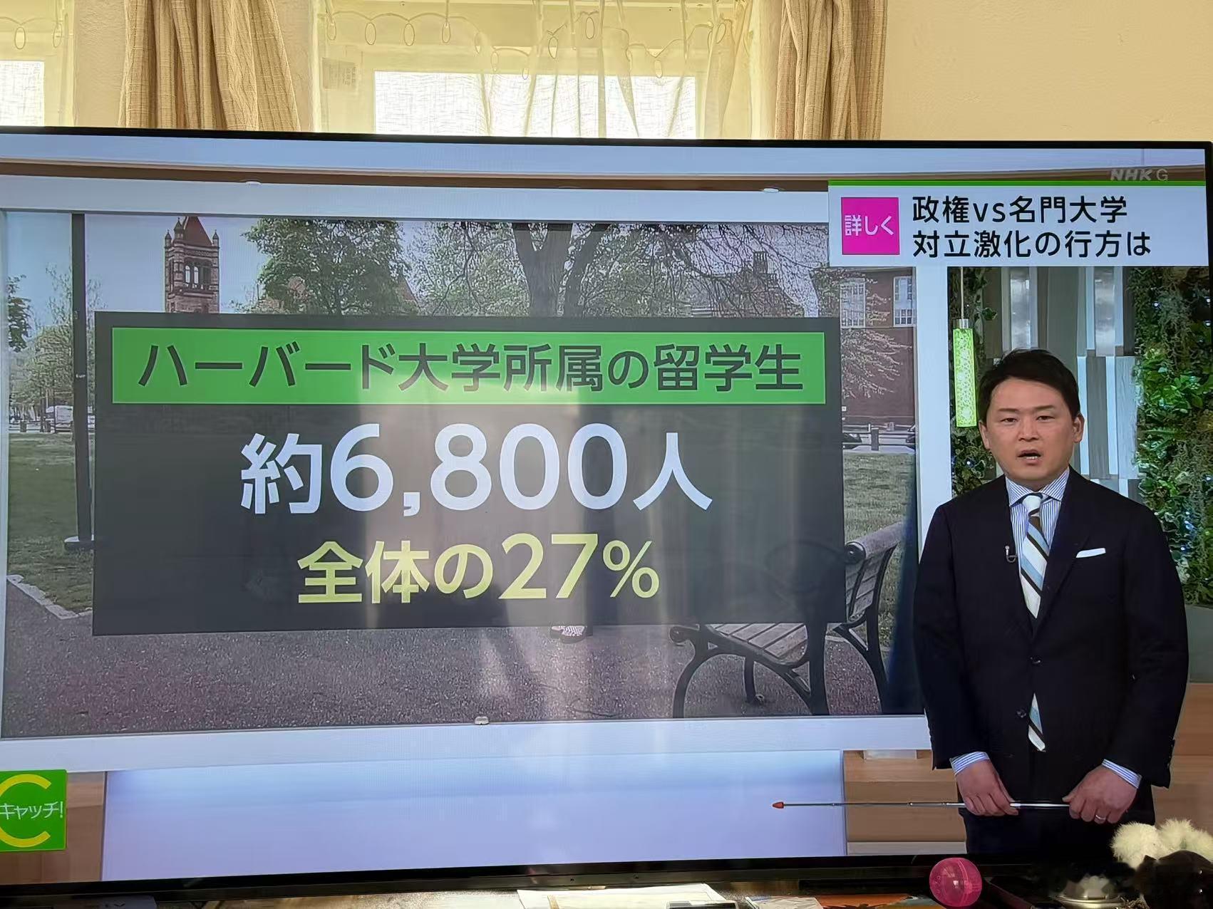 哈佛大学现有外国学生需转学 一开始还以为假新闻，打开电视才知道是真的。这事影响真