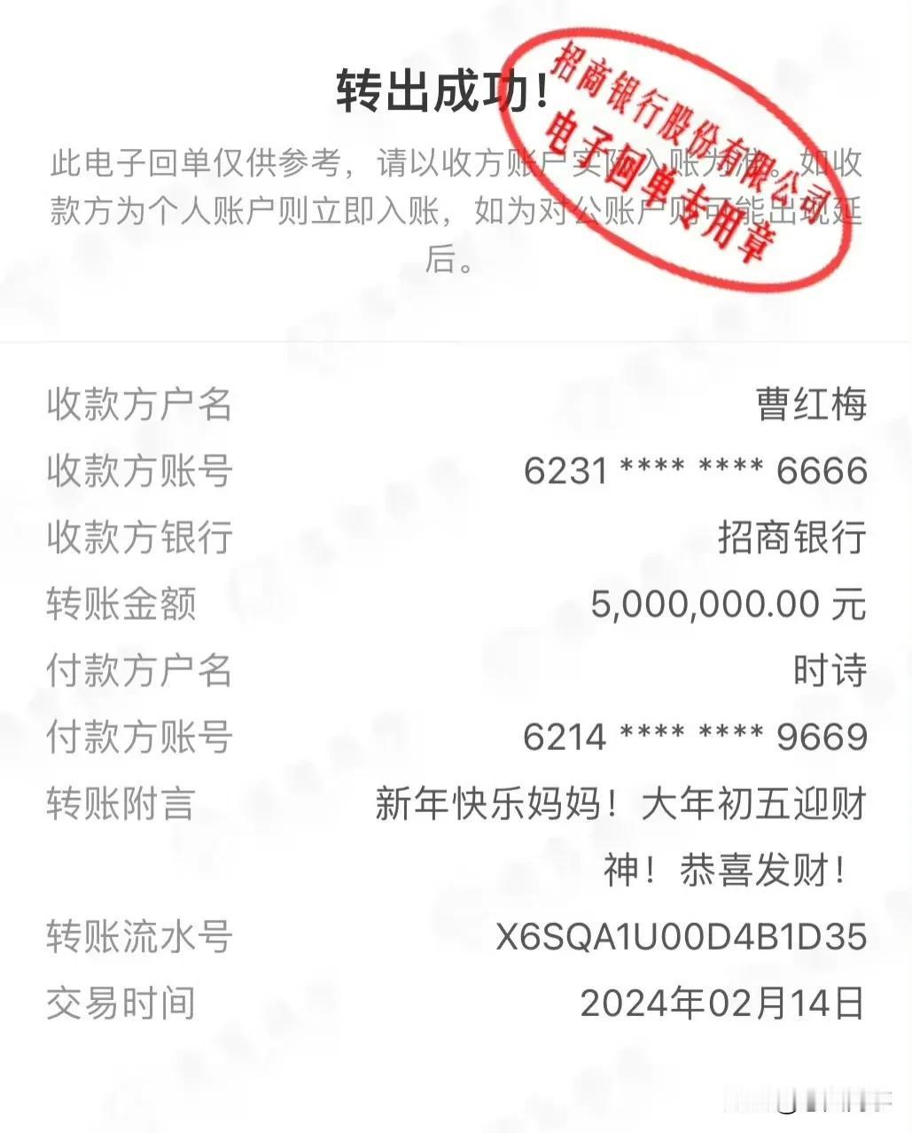 时大漂亮给妈妈转账500万元，妈妈就是家里的福气，孝顺妈妈要啥有啥万事如意！ #