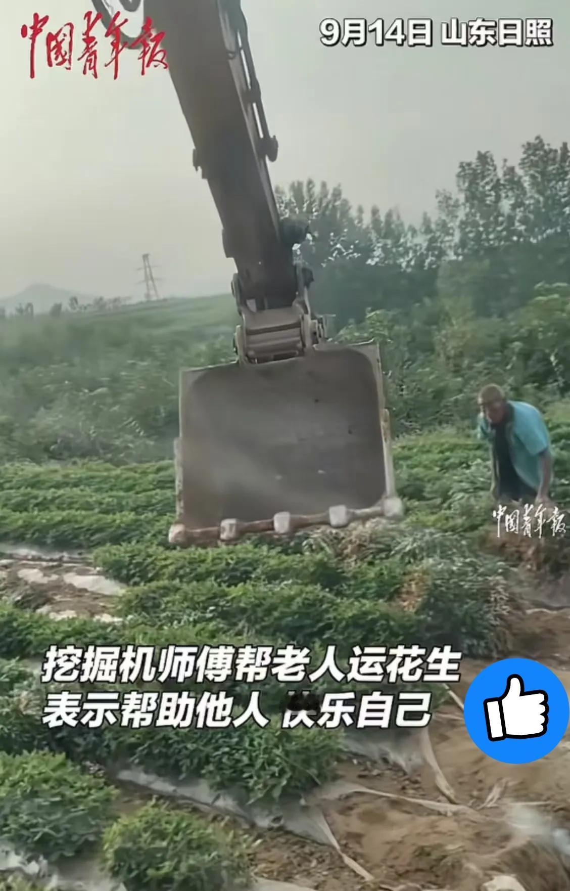 山东日照山坡上，修路挖掘机突然“改行”。
 
铲斗绕过土石，凑到背花生的白发大爷