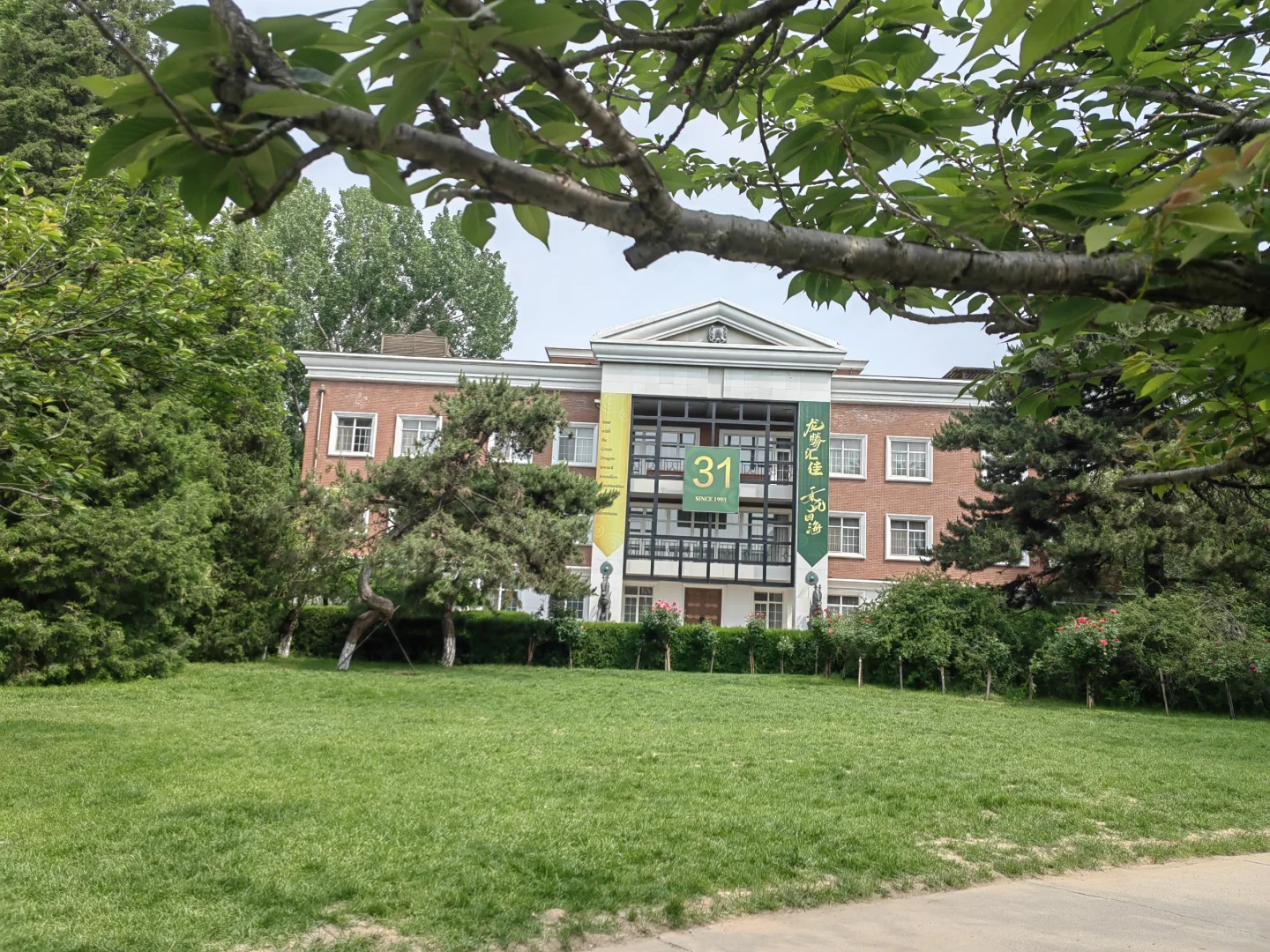 一所31年老牌IB国际学校，开融合班了…
