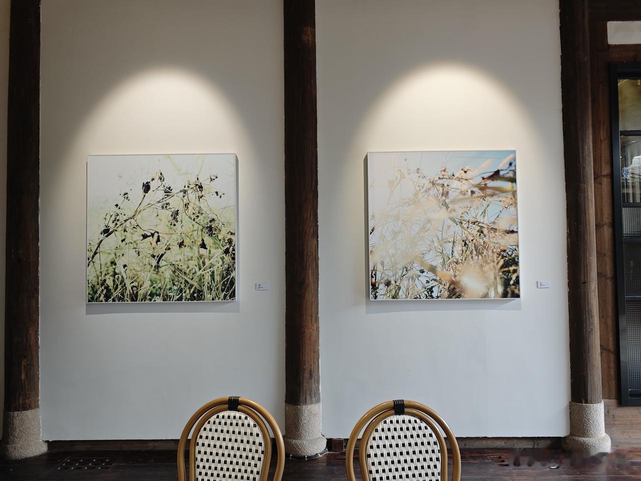 福州烟台山源里画廊餐厅，《微茫 尘间草木志》摄影展览，在微茫尘世之中，在寻常草木
