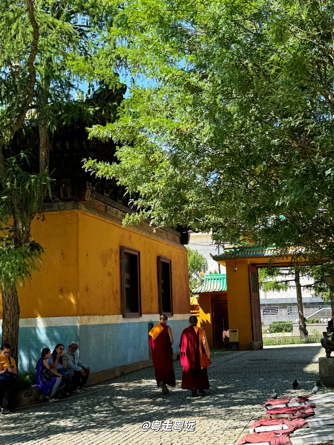 乌兰巴托吃住玩 甘丹寺 信仰与时光的圣殿